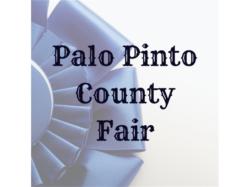 Logo for 2024 Palo Pinto County Fair