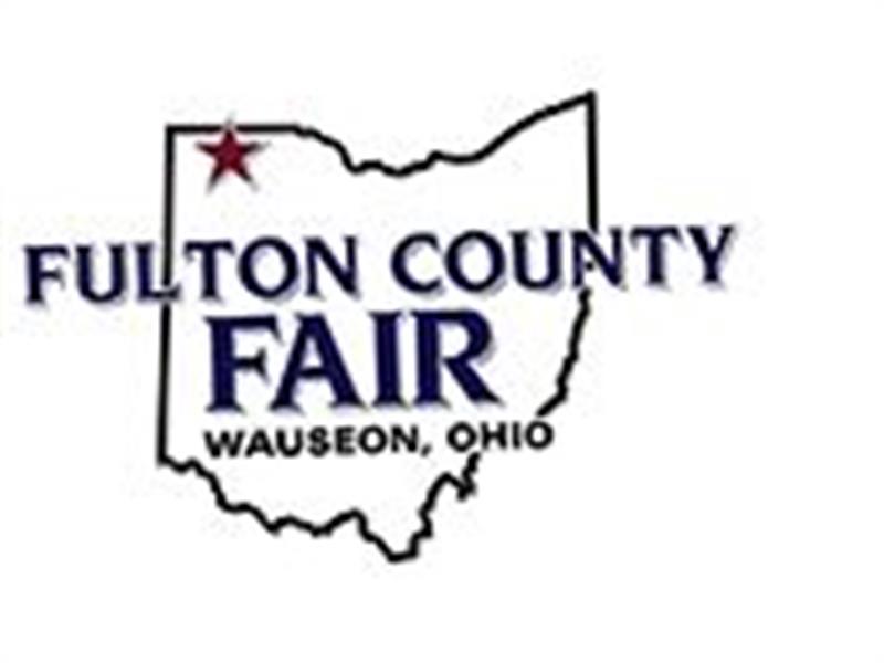 Logo for 2024 Fulton County Fair