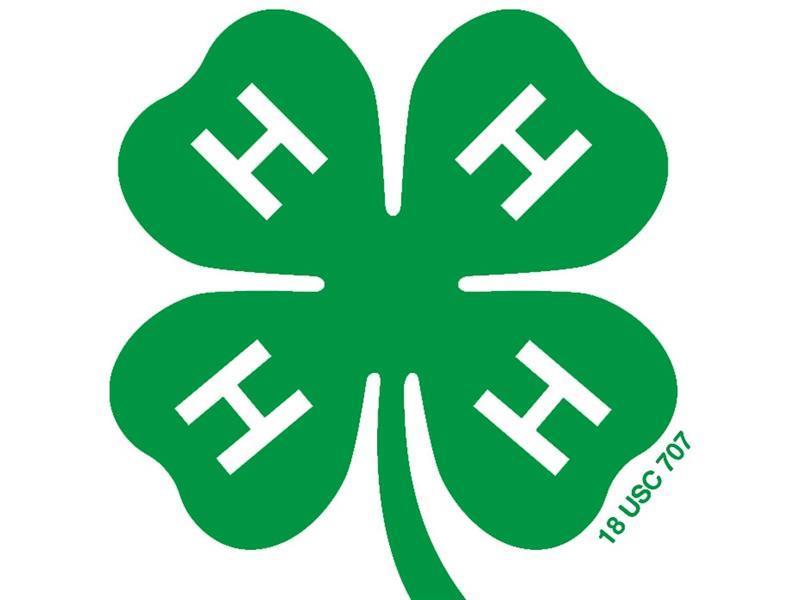 Logo for 2024 Henderson County Fair