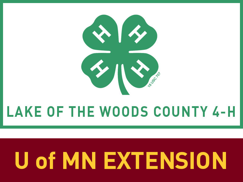 Logo for 2024 Lake of the Woods County Fair