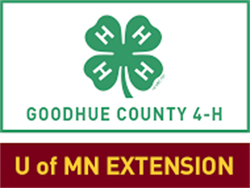 Logo for 2024 Goodhue County Fair