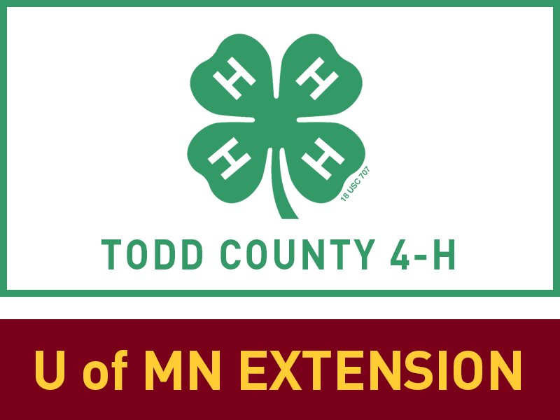 Logo for 2024 Todd County Fair