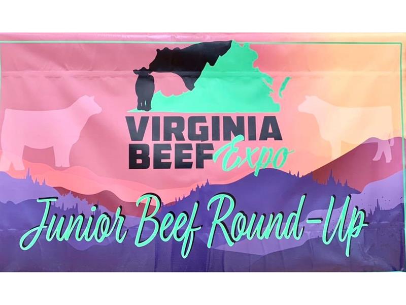 Logo for 2024 Virginia Junior Beef Roundup